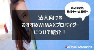 wimax for biz