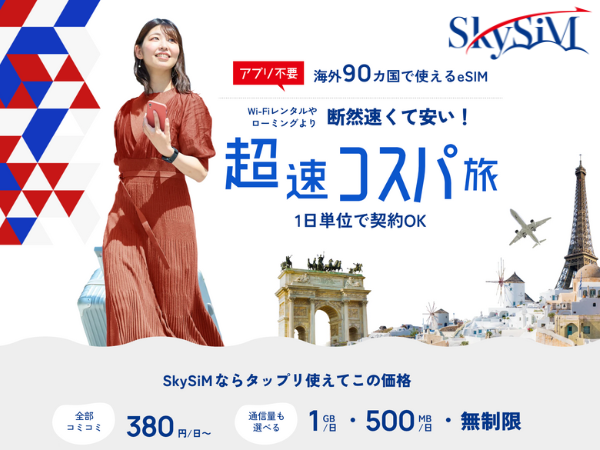 Skysim banner