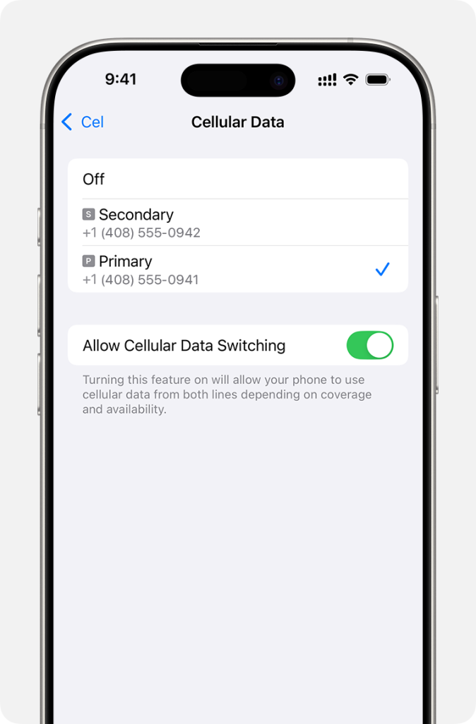 ios 18 iphone 16 pro sim settings cellular cellular data