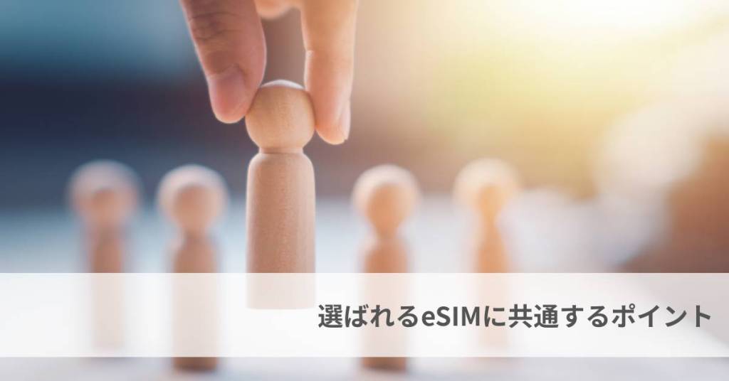 FREEDiVE富塚氏に聞く|eSIMの選び方ガイド:2026年の市場トレンドとプレイヤー整理 9 10e5ec750d3218d3ea7ac305980c2836