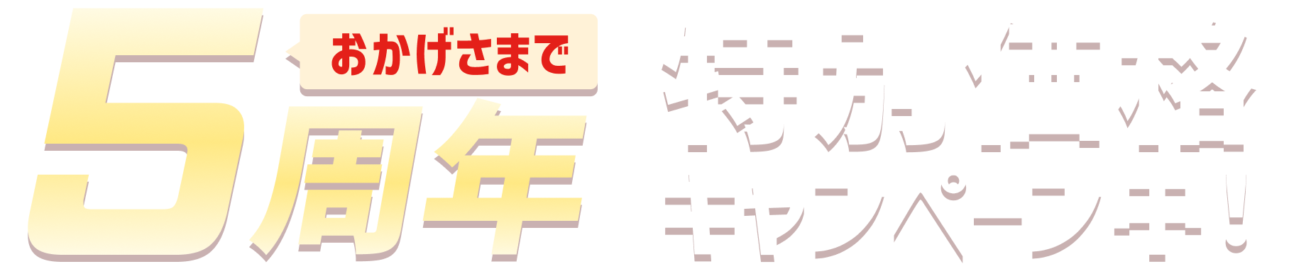 おかげさまで5周年！特別価格キャンペーン中